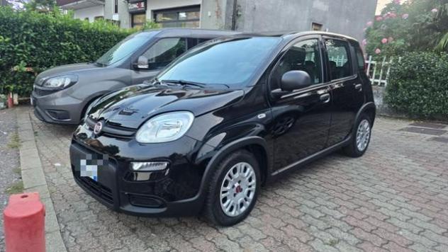 FIAT Panda 1.0 FireFly S&S Hybrid rif. 24146726