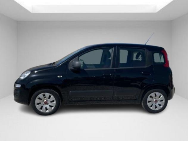 Fiat Panda 1.2 Easy - Foto 4