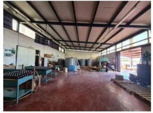 Immobile in asta di 450 m² in vendita a Pachino - Foto 6