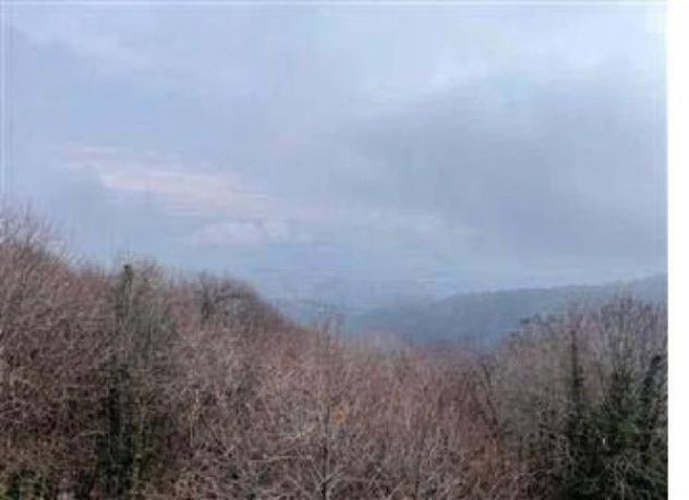 Immobile in asta di 65 m² in vendita a Bibiana - Foto 3
