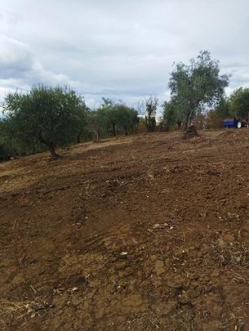 Terreno edificabile in vendita a Filetto - Foto 4
