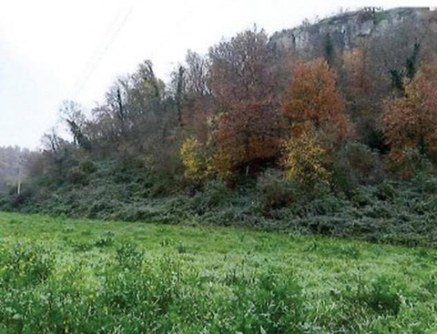 Immobile in asta di 70800 m² in vendita a Orte - Foto 4