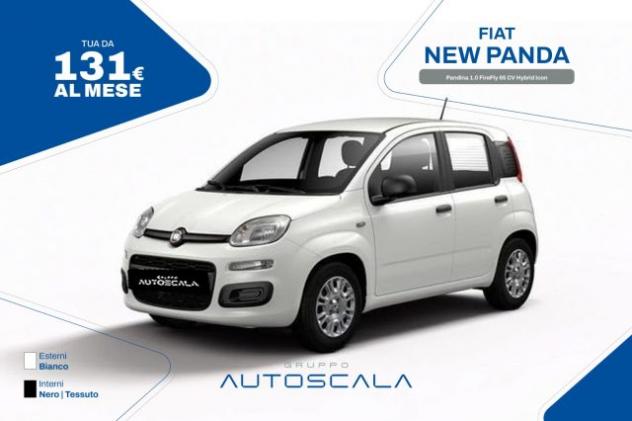 FIAT New Panda Pandina 1.0 FireFly 65 CV Hybrid Icon rif. 24056232