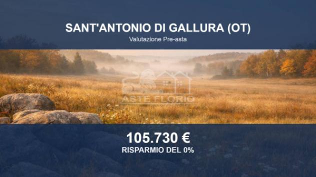 Immobile in asta di 52870 m² in vendita a Sant'Antonio di Gallura