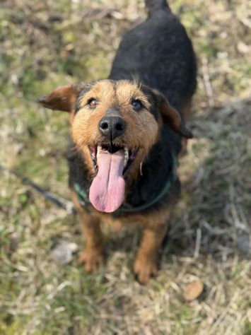 TARO, baffone dalla bontà sconfinata! - Foto 3