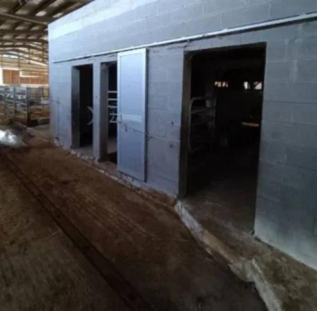 Immobile in asta di 1005 m² in vendita a Palanzano - Foto 3