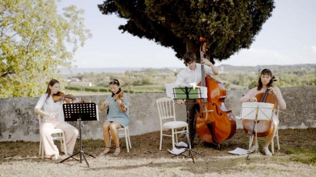 Musica per Matrimonio: Quartetto d'Archi e Duo Strumentale (Cerimonia e Aperitiv - Foto 3