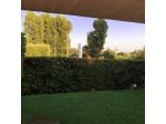 Hotel Zeffiro