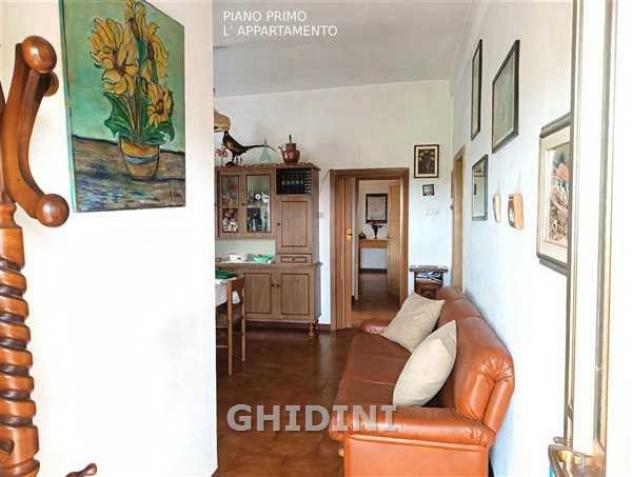 AZIENDA AGRICOLA di 10 vani e di 350 mq (CIVITELLA PAGANICO - PAGANICO) rif. 2571.300M. - Foto 11