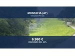 Immobile in asta di 10942 m² in vendita a Montafia