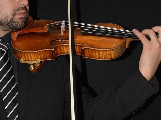 Violinista professionista a Caronno Pertusella