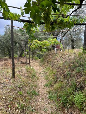 Agricolo in vendita a Arcola - Foto 20
