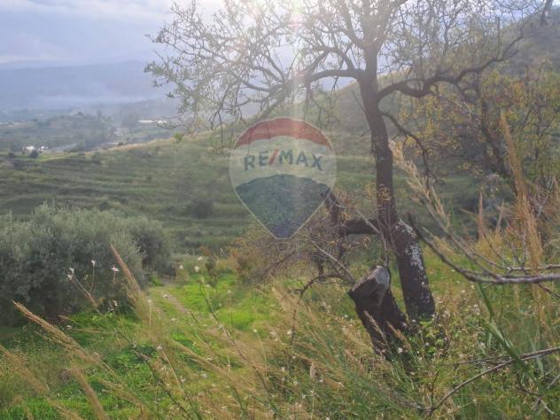 Terreno in vendita a Calatabiano - Foto 8