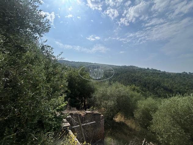 TERRENO AGRICOLO di 1 vani e di 22364 mq (CASTELFRANCO PIANDISCO' - certignano) rif. V-2360 - Foto 4