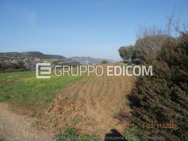 Terreno di 46370 mq in vendita a Montescaglioso - Rif. 4555042 - Foto 5