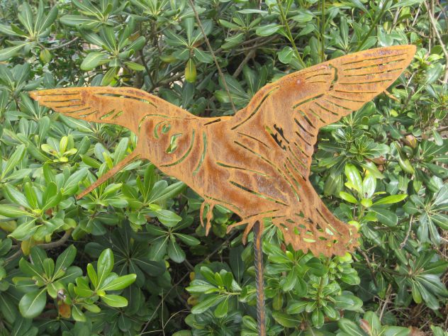 beccaccia in volo
