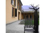 Panemiele