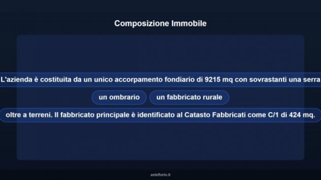 Immobile in asta di 9215 m² in vendita a Assemini - Foto 9