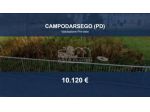 Immobile in asta di 469 m² in vendita a Campodarsego