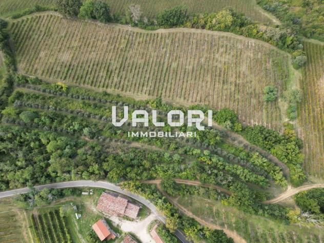 PODERE AGRICOLO DI CIRCA HA 31 OLTRE A CORTE CON CASA COLONICA E SERVIZI - Foto 6