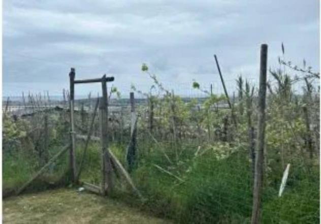 Immobile in asta di 590 m² in vendita a Massa - Foto 3