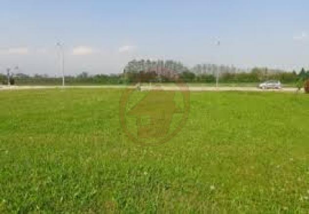 Terreno a Villanova di Camposampiero - Rif. T77 - Foto 2