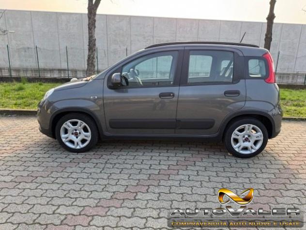 FIAT Panda 1.0 firefly hybrid City Life s&s 70cv 5p rif. 23798866 - Foto 6