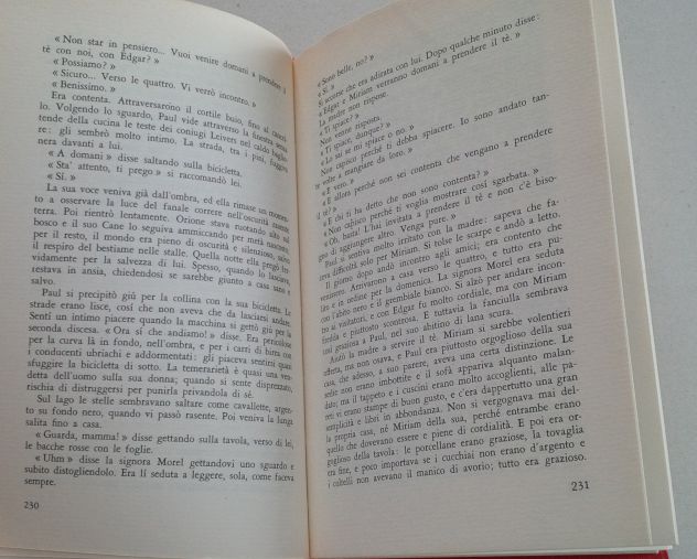 David Herbert Lawrence - Figli e amanti - Foto 8