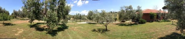 CASA INDIPENDENTE di 5 vani e di 220 mq (FOLLONICA - Follonica) rif. V 23 - Foto 3