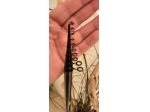 CANNA TUBERTINI R18 PRO LAKE 1 MT 4.00 GR 1-3