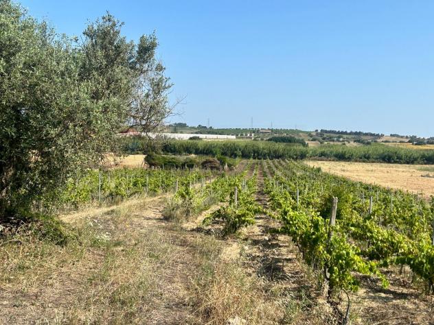 Terreno in vendita a Noto - Foto 10