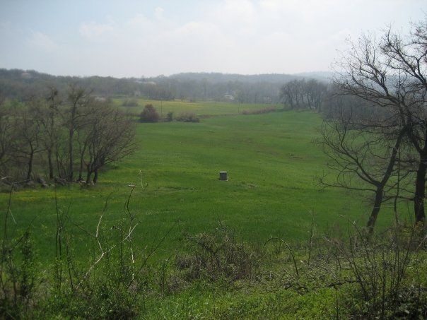 Ampia Tenuta Agricola in Abruzzo - Foto 10