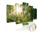 Quadro Con Vetro Acrilico Foresta Selvaggia Cm.100x50 E 200x100