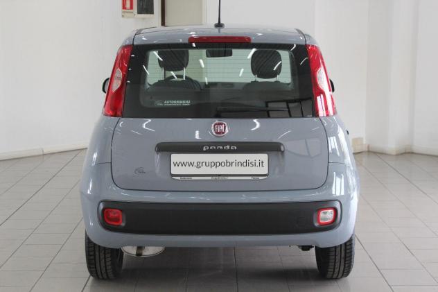 FIAT - Panda - 1.2 Easy - Foto 5