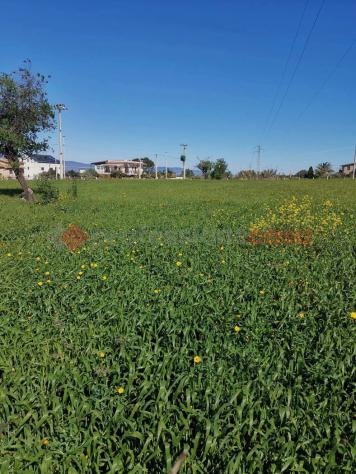 Terreno Agricolo - Reggio di Calabria . Rif.: Cod. rif 3312529VRG - Foto 9