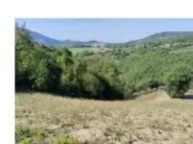 Immobile in asta di 13520 m² in vendita a Assisi - Foto 6