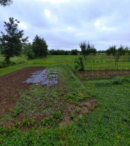 Immobile in asta di 6200 m² in vendita a Azzano Decimo - Foto 9