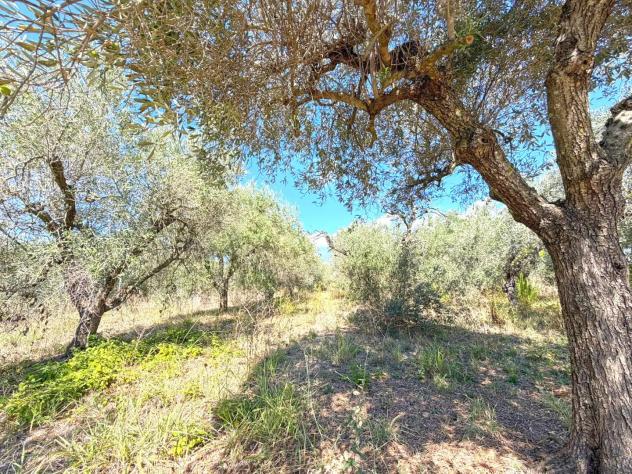 Terreno agricolo in vendita a Cecina 4648 mq Rif: 1448274 - Foto 3