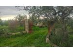 Terreno in vendita a Chiaramonte Gulfi