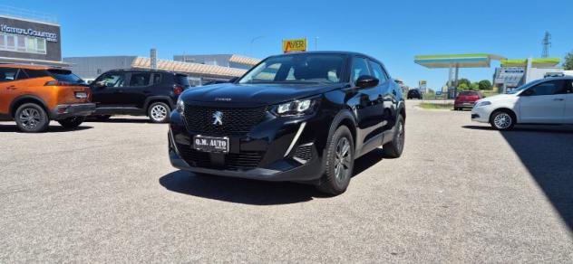 PEUGEOT 2008 2ª serie 2008 PureTech 100 S&S Active Pack