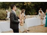 VIOLINISTA PIANO SAX VOCE ARPA CHITARRA