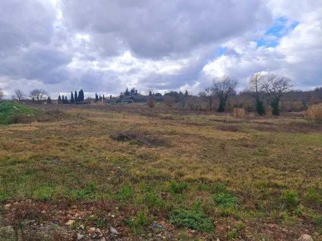 Terreno edif. residenziale in vendita a Colle di Val d'Elsa 855 mq Rif: 952105 - Foto 5