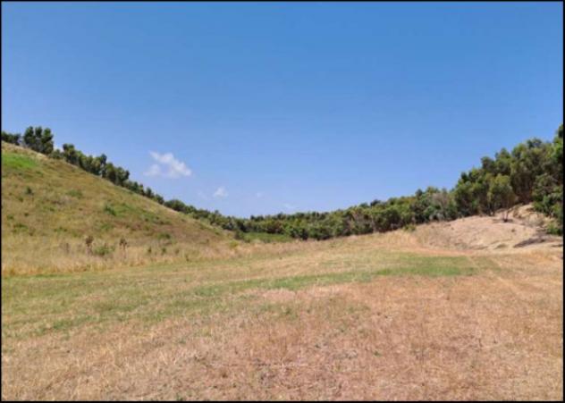 Immobile in asta di 35400 m² in vendita a Crotone - Foto 6