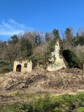 Uliveto in vendita a Morlupo - Foto 10