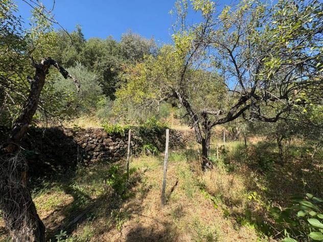 Frutteto in vendita a Piedimonte Etneo - Foto 17