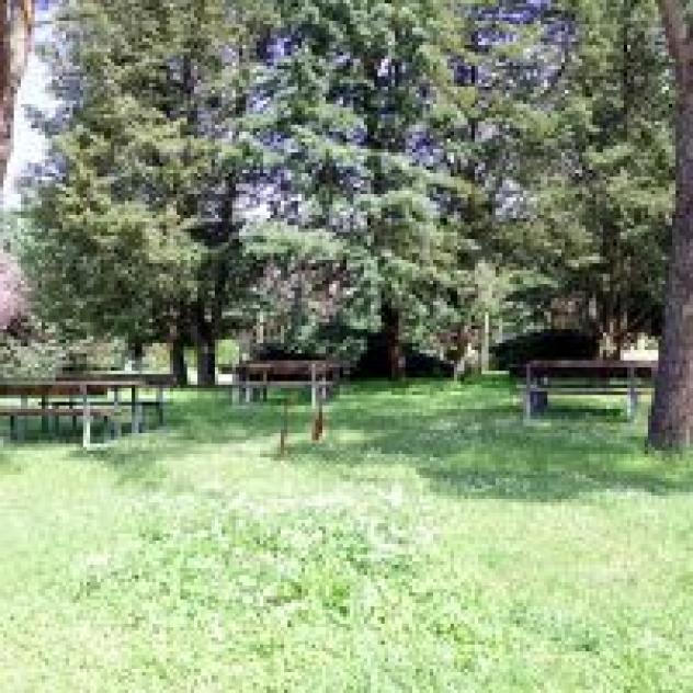 Colleverde S.r.l. - Foto 2