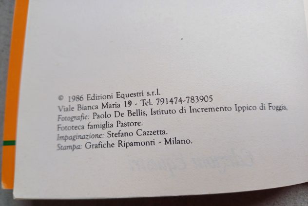 Il Murgese, G. Buonavolontà – M. Silvestrelli, Edizioni Equestri 1986. - Foto 5