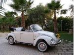 Maggiolino maggiolone cabrio