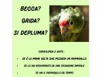 Educatore trainer pappagalli