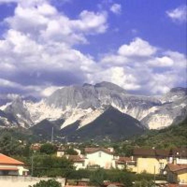 Merlo D'Oro